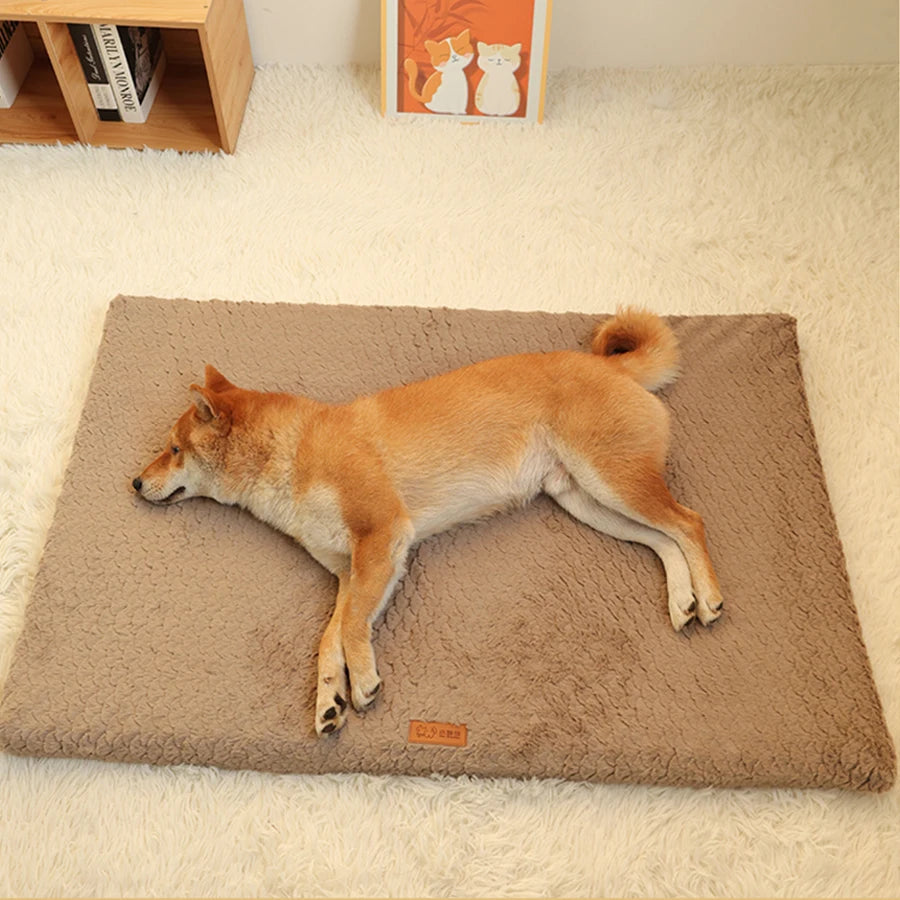 PET BED