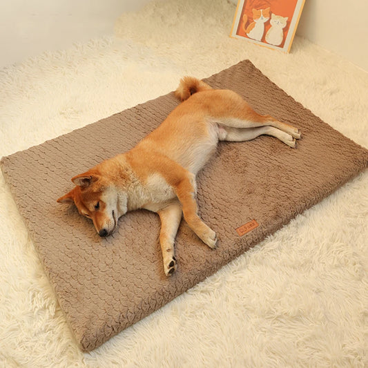 PET BED