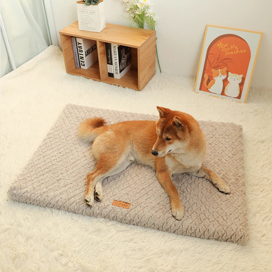 PET BED